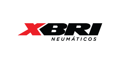 XBRI